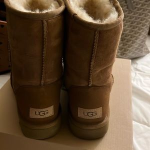 Womens Classic UGG Shortie